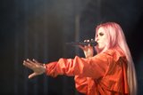 Pink-haired Performer Takes Coachella by Storm