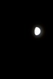 Bright Moon in the Dark Sky