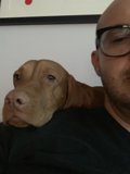 Spectacled Man and His Furry Friend