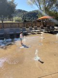 Splash of Joy