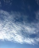 Azure Skies Over Hancock Park La Brea