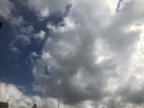 Birds Soaring Through the Cloudy Sky