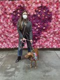A Walk with My Pooch