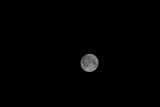 Lunar Beauty