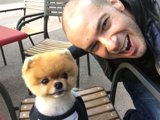 Meeting Celebrity Dog