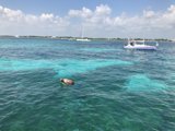 Ocean Adventure
