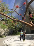 A Walk in the Concert Hall Garden