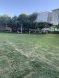 Frisbee Fun in the San Francisco Sun