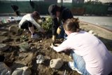 Tending to the Garden