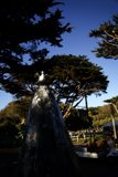 Nature's Gallery