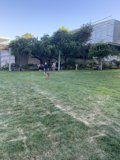 Frisbee Fun in the California Sun