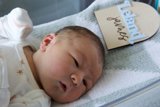 Welcome to the World, Leland