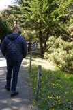 Journey through the Woodland