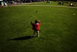 The Joy of Flight: Summer Afternoon in Presidio Park