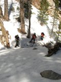 Skiing Adventure in the Snowy Mountains