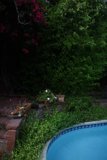 Oasis in the Backyard