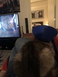 The Blue Hat Couch Cat