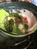 A Refreshing Bowl of Herb-Infused Meal
