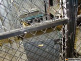 The Den Cage