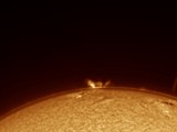 Solar Surge Prominence Erupting from Sun's Limb