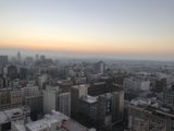 Urban Jungle