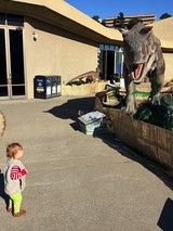 Child Encounters Life-Size T-Rex Display at Museum