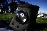 Feline Hideaway at Alamo Square