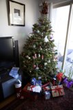 A Festive Fir in the Living Room