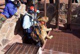Mine Rescue Mission