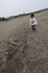 Young Explorer Walking Barefoot on Foggy Beach
