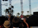 Guitar Solo under Palm Trees