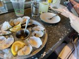 Capturing the Perfect Oyster Shot