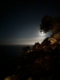 Lonely Beauty under Glittering Skies