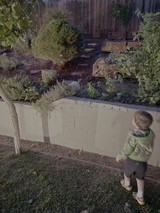 Child Explores Backyard Garden with Retaining Wall