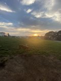 Sunset Run with Man's Best Friend