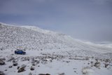 Frozen Adventure
