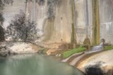 Serene Waterfall amid Nature's Bounty