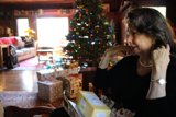 Cozy Christmas in the Living Room