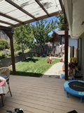 Summer Serenity in the Backyard