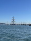Sailboats in Richardson Bay