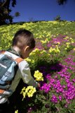Spring Exploration in Golden Gate Park