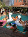 Summer Splash