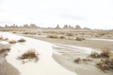 Oasis in the Desert