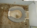Filthy Toilet with Grimy Seat