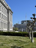 Majestic Building and Towering Tree