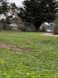 Frisbee Fun in the Park