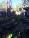 Serene Backyard Garden