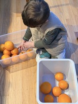 Young Child Sorting Oranges in Kitchen Activity