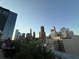 Serenity in the Urban Jungle