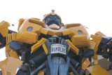 Bumblebee Robot